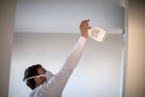 Best Professional Mold Removal  in Winnfield, LA