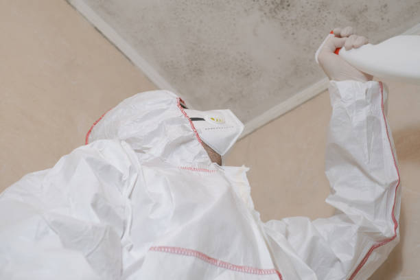 Best Commercial Mold Removal  in Winnfield, LA