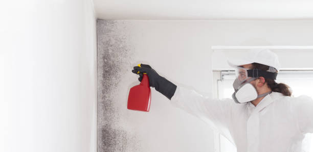 Best Mold Remediation  in Winnfield, LA