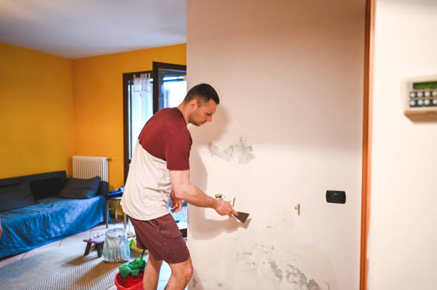 Best Certified Mold Removal  in Winnfield, LA