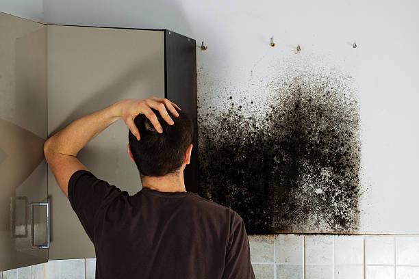 Best Water Damage Restoration  in Winnfield, LA